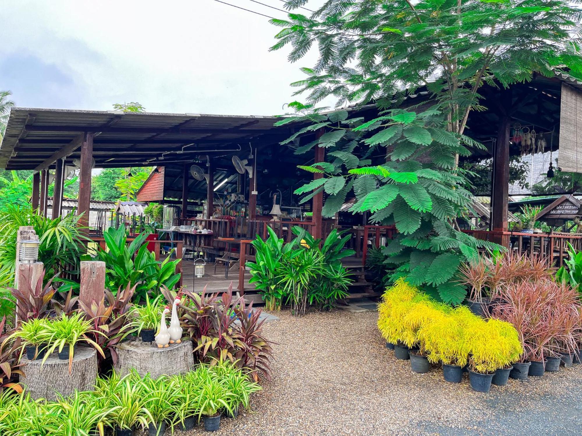 North Pine Forest Homestay บ้านไม้สนโฮมสเตย์ Ban Mae Pong Extérieur photo