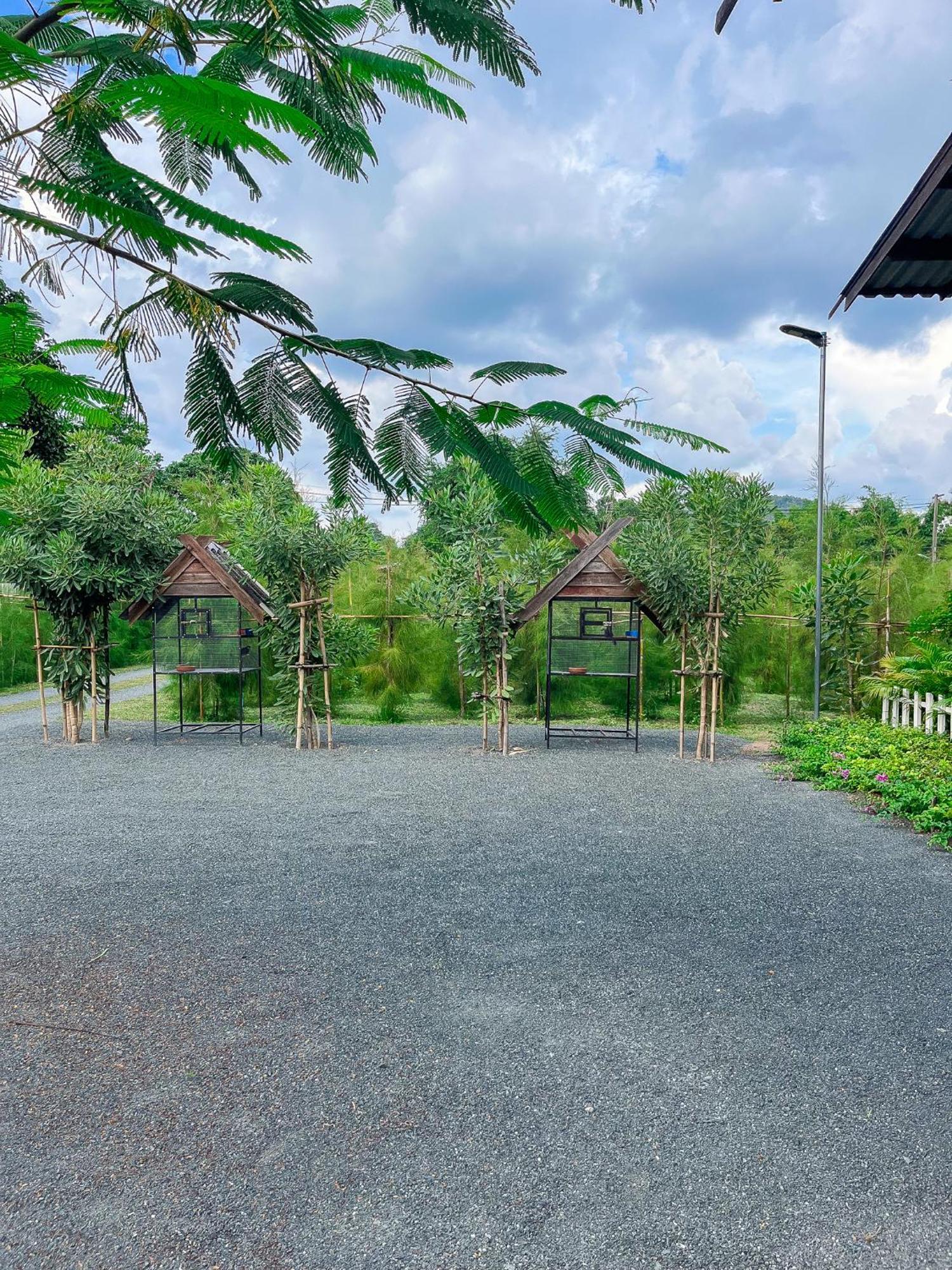 North Pine Forest Homestay บ้านไม้สนโฮมสเตย์ Ban Mae Pong Extérieur photo